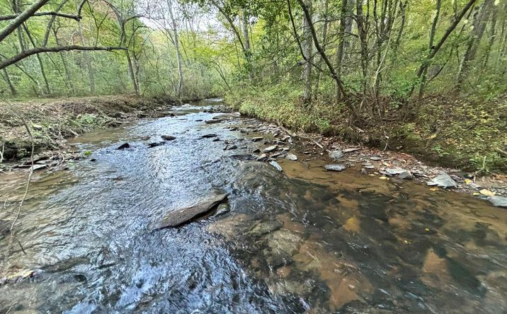 2010 Mt. Springer Road, Ellijay
