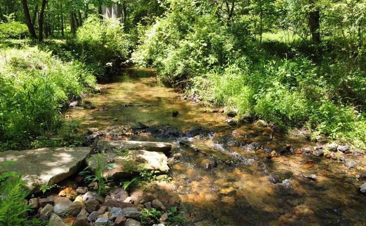 Pictures of Land property located at Tract 1 Timber Ridge Road, Blairsville, GA 30512 for sales - image #1