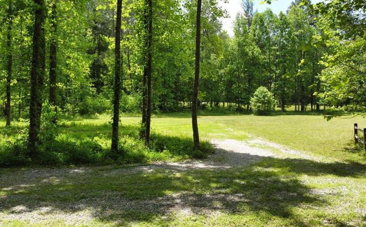 Pictures of Land property located at Tract 2 Timber Ridge Road, Blairsville, GA 30512 for sales - image #1