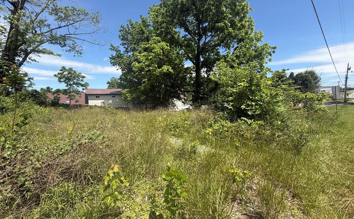 Lot 20 E Second Street, Blue Ridge