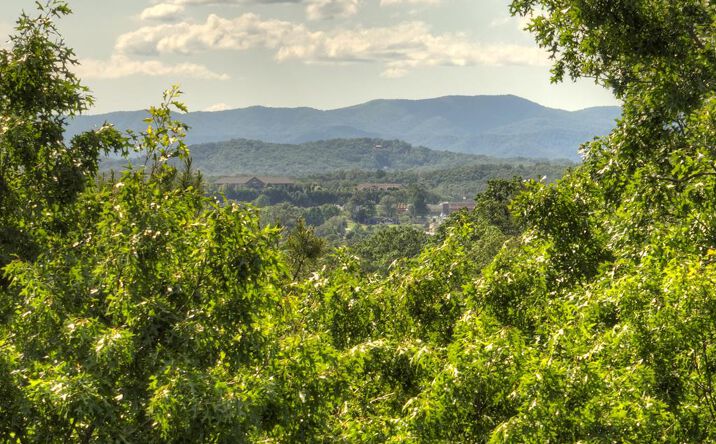 LT 15 Tanglewood Cove Lane, Blue Ridge