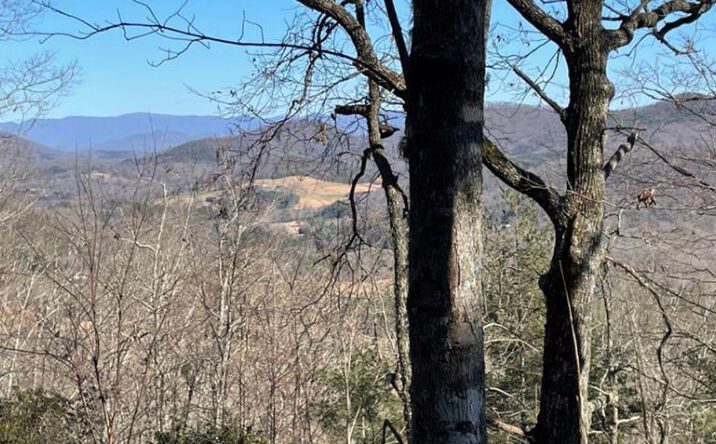 Pictures of Land property located at Lot 6 Wild Turkey, Young Harris, GA 30582 for sales - image #1