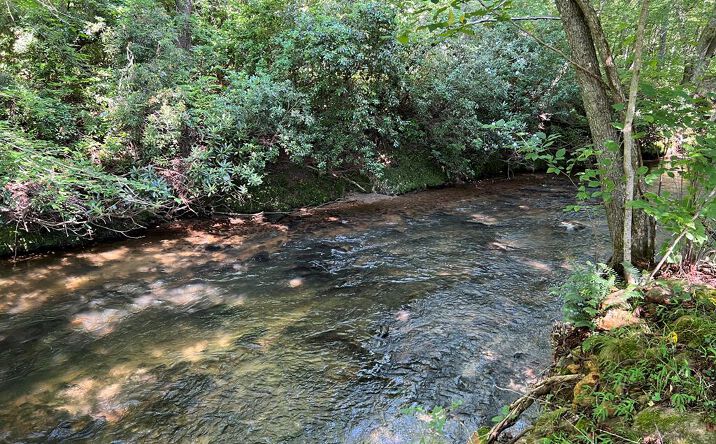 Pictures of Land property located at Lot 8 Old Birch Bend, Blairsville, GA 30512 for sales - image #1
