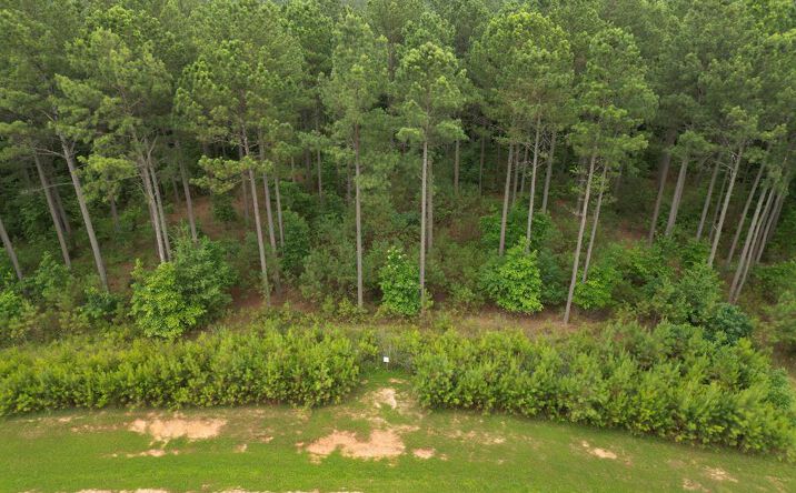 Pictures of Land property located at Lot 148 Stables Loop, Blairsville, GA 30512 for sales - image #1