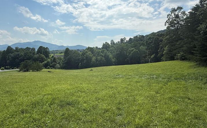 Lot 52 The Preserve At Cc, Young Harris