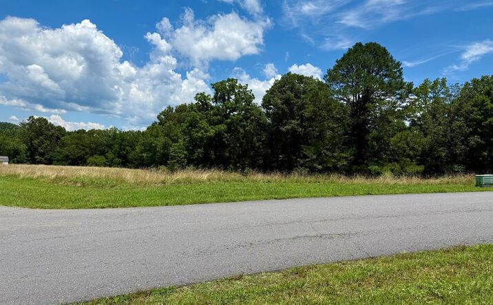 Pictures of Land property located at Dewey Lane, Murphy, NC 28906 for sales - image #1