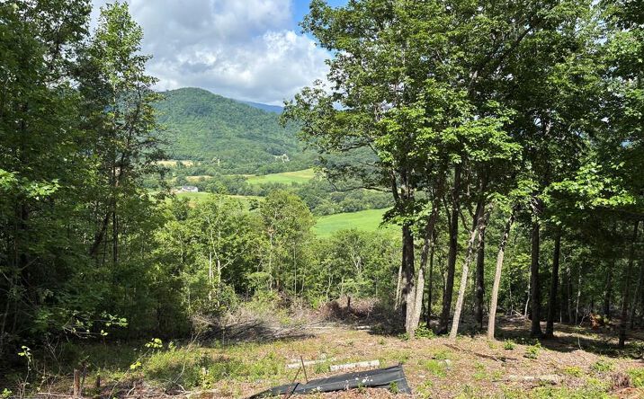 Pictures of Land property located at 17 Buckhead Hills, Hiawassee, GA 30546 for sales - image #1