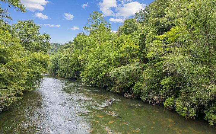 Pictures of Land property located at LOT 4 Riverfront Drive, Ellijay, GA 30536 for sales - image #1
