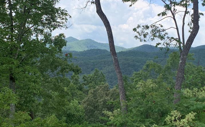 Pictures of Land property located at 44 & 45 Silo View, Murphy, NC 28906 for sales - image #1