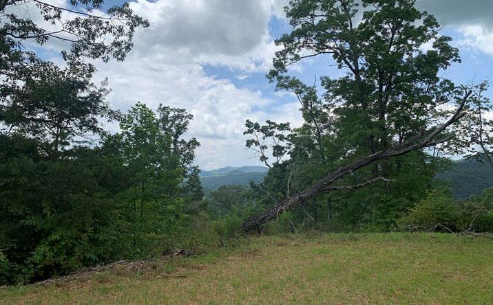 Pictures of Land property located at 44 & 45 Silo View, Murphy, NC 28906 for sales - image #1