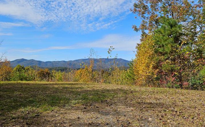 Pictures of Land property located at 247 Rice Lane, Marble, NC 28905 for sales - image #1
