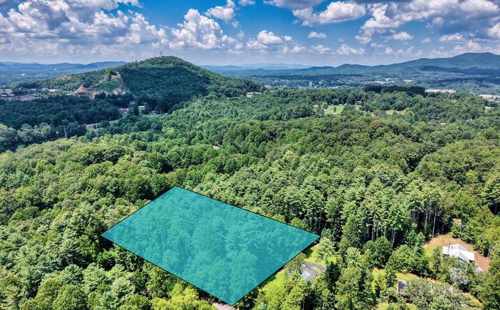 Pictures of Land property located at L 10&16 Josie Drive, Blairsville, GA 30512 for sales - image #1