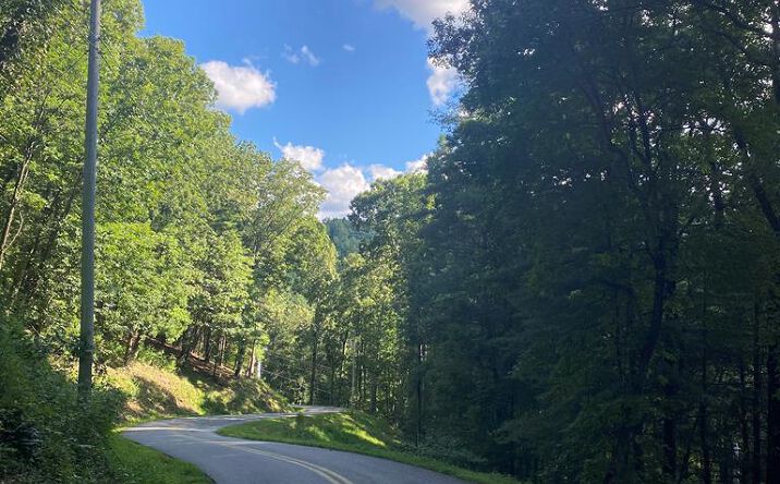 Pictures of Land property located at Lot 47 Mountain Top, Blairsville, GA 30512 for sales - image #1