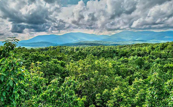 28.82 Mt. Mcgruder Road, Ellijay