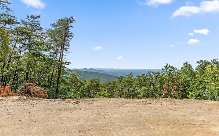 Pictures of Land property located at 4404 Hwy 52, Chatsworth, GA 30705 for sales - image #1
