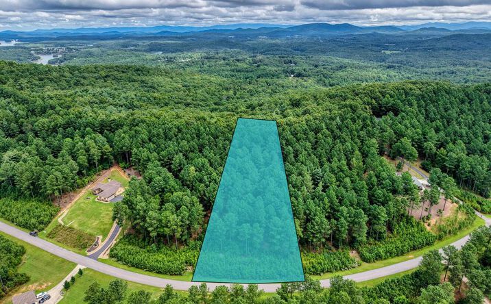 Pictures of Land property located at Lot 169 Thirteen Hundred, Blairsville, GA 30512 for sales - image #1