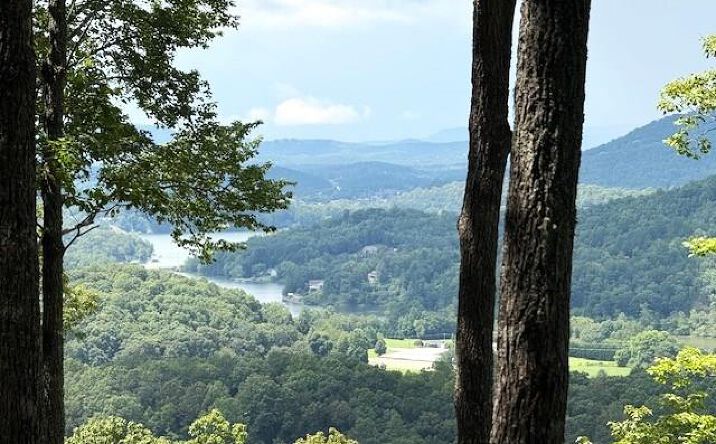 Pictures of Land property located at 19 Buckhead Hills, Hiawassee, GA 30546 for sales - image #1