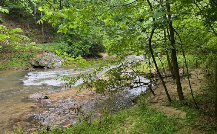 LT 32 Johnson Mill Road, Ellijay