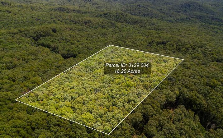 18 ACRES S Piney Spur Road S, Ellijay