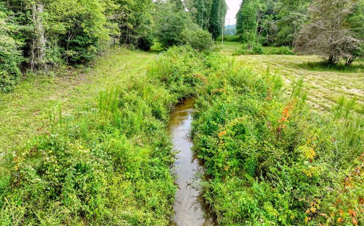 34.51 AC Weaver Creek Road, Blue Ridge