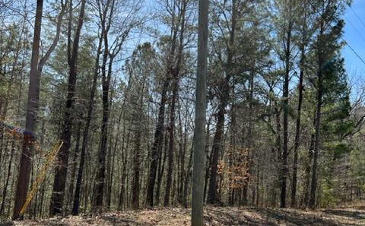 LT 3 Hunter Ridge, Ellijay