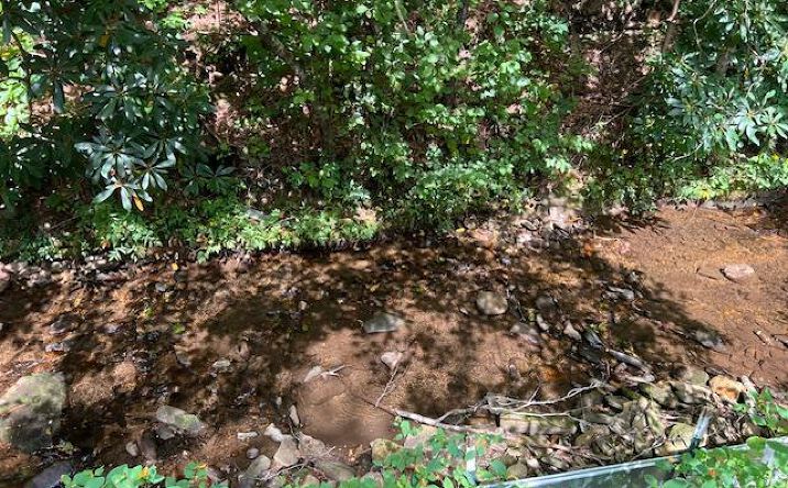 Pictures of Land property located at 184/196 Bear Bend, Blairsville, GA 30512 for sales - image #1