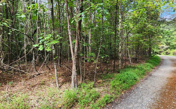 LT 14, Mineral Bluff