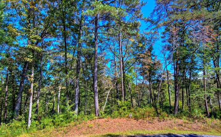 LT 34 Hilton Drive, Ellijay