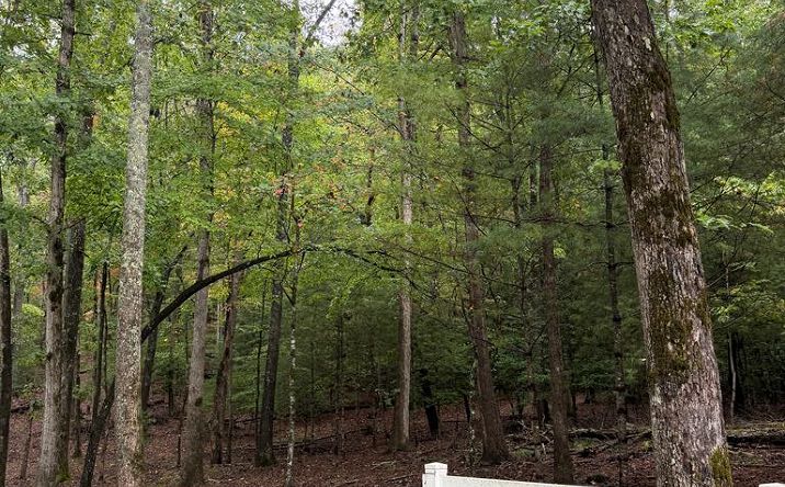 Lot 5 Ludlum Lane, Hayesville