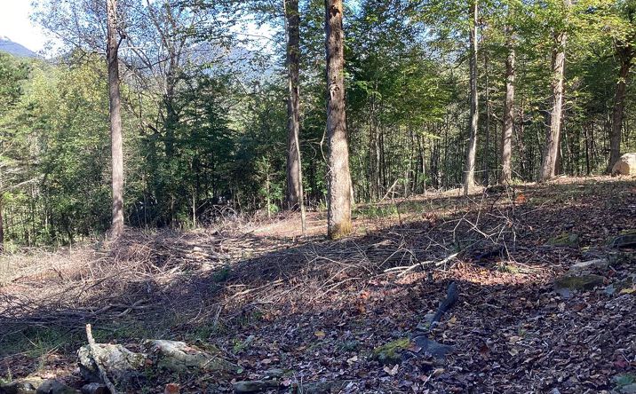 Pictures of Land property located at Lot 2 Buckhead Hills, Hiawassee, GA 30546 for sales - image #1