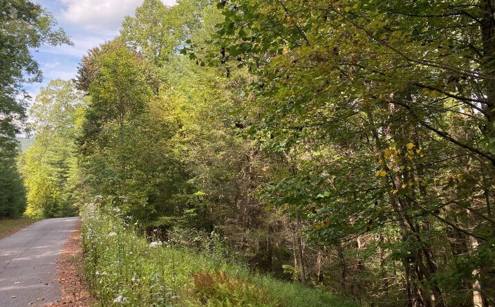 Pictures of Land property located at Lot 58 Gobblers Knob, Suches, GA 30572 for sales - image #1