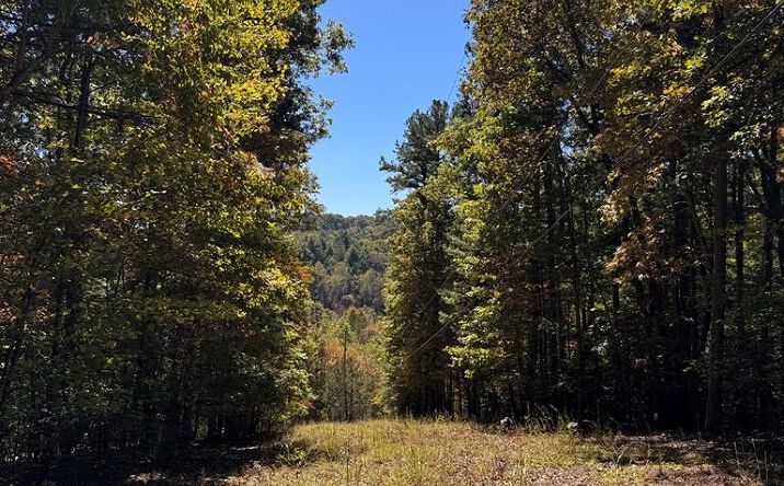 Pictures of Land property located at Hwy 294, Murphy, NC 28906 for sales - image #1