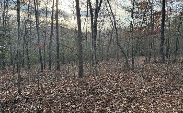 Pictures of Land property located at 28/32 Stuart Ridge Road, Mineral Bluff, GA 30559 for sales - image #1
