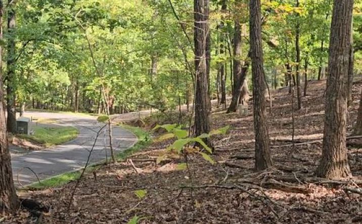 Pictures of Land property located at 315 Windflower Drive, Big Canoe, GA 30534 for sales - image #1