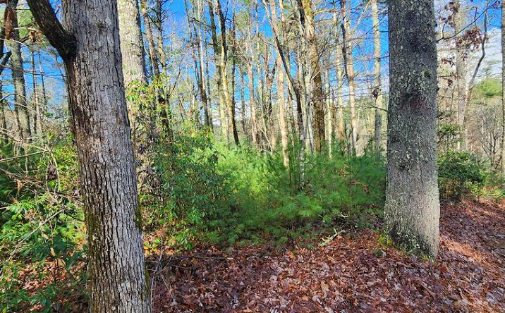 3 Lots Ridgecrest Drive, Blue Ridge