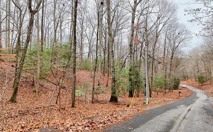 Pictures of Land property located at Tract 3 Wilmar Circle, Blairsville, GA 30512 for sales - image #1