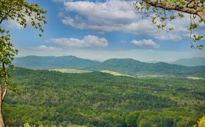 Pictures of Land property located at Lot 1 Scouts Overlook, Morganton, GA 30560 for sales - image #1