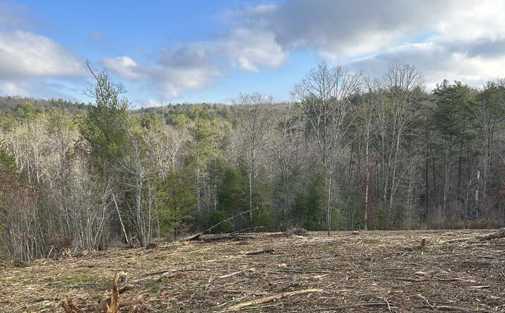 Pictures of Land property located at LT37 Blue Creek Road, Morganton, GA 30560 for sales - image #1
