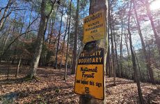 32870233