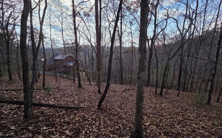 Pictures of Land property located at 5 Fish Camp Way, Mineral Bluff, GA 30559 for sales - image #1