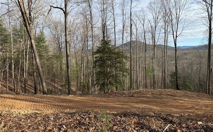 na Wildwood Trail, Blairsville