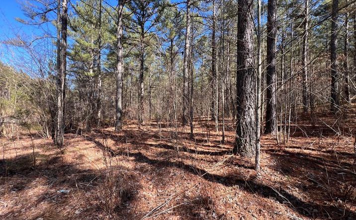 Pictures of Land property located at Lot 50 Deyton Drive, Blairsville, GA 30512 for sales - image #1