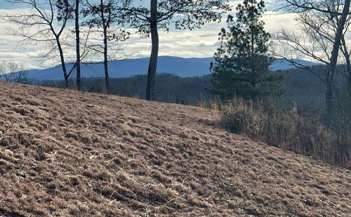 Pictures of Land property located at Lot 95 Fallen Leaf Road, Mineral Bluff, GA 30559 for sales - image #1