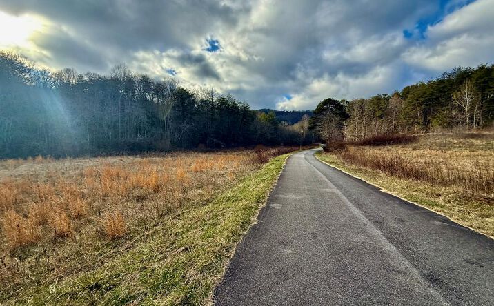 Pictures of Land property located at Cedar Springs Road, Turtletown, TN 37391 for sales - image #1