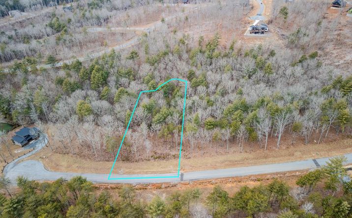 Pictures of Land property located at LT 151 The Ridges, Morganton, GA 30560 for sales - image #1
