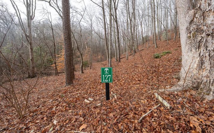 Pictures of Land property located at Lot 127 Timber Ridge, Murphy, NC 28906 for sales - image #1
