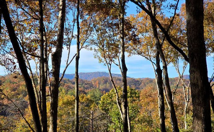 Lot 5 Gold Ridge Trail, Cherry Log