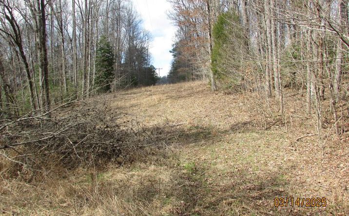 10.5 ac. Phillips Road, Young Harris
