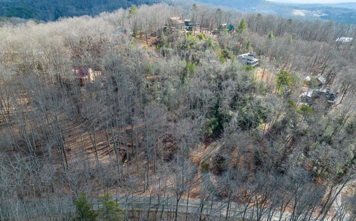 Pictures of Land property located at Lot 7 Squirrel Hunting Road, Morganton, GA 30560 for sales - image #1