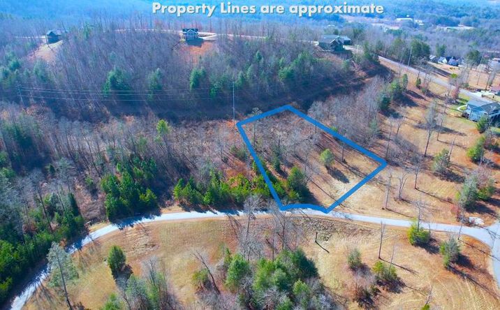 Pictures of Land property located at Lot 111 Katherine, Blairsville, GA 30512 for sales - image #1